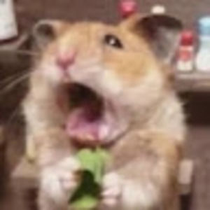 Meet your Posher, Lorraine